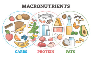 macronutrients for football players